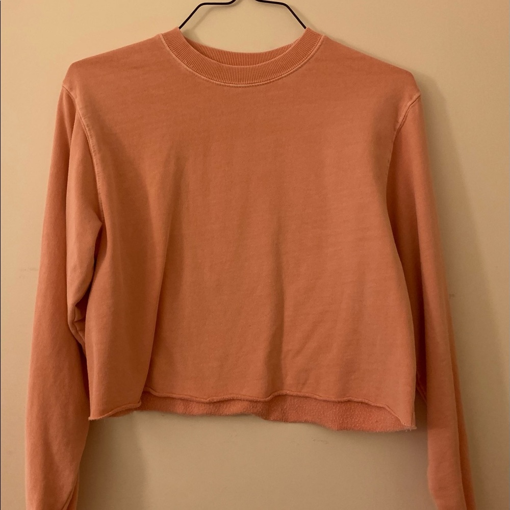 Rustic Blush-pink/ Baby-pink Long Sleeve Crop